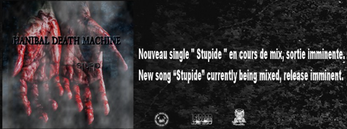 Nuevo video Stupid